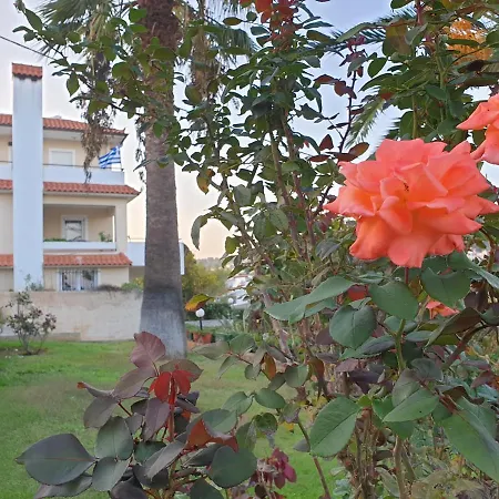 Vaso'S Country House Near The Beach And Airport Pórto Ráfti Extérieur photo