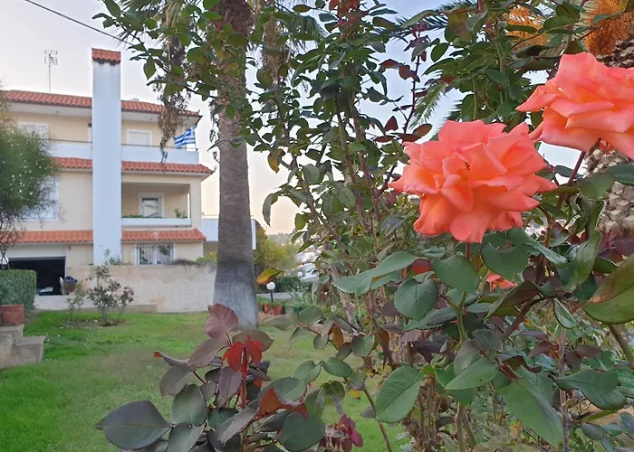 Vaso\'S Country House Near The Beach And Airport