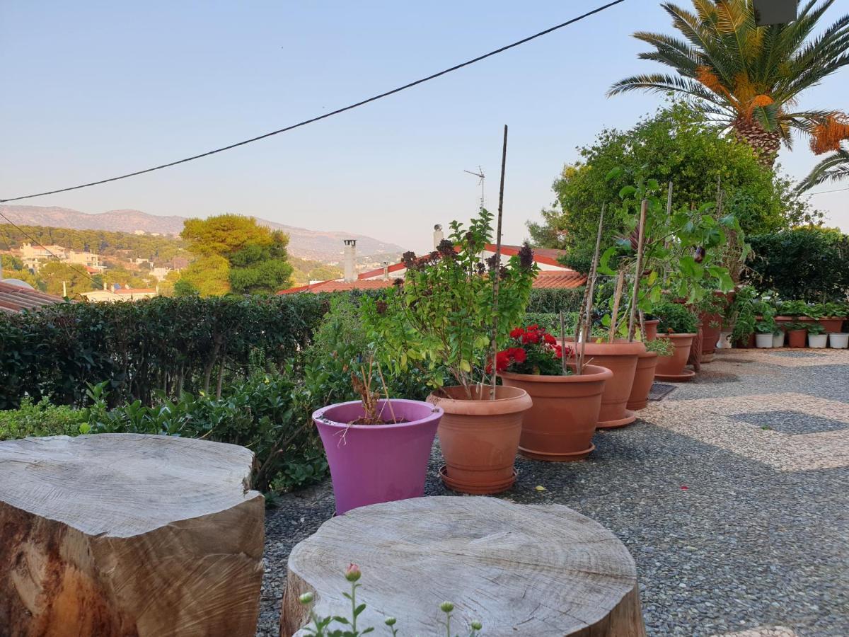 Apartament Vaso's Near The And Airport *