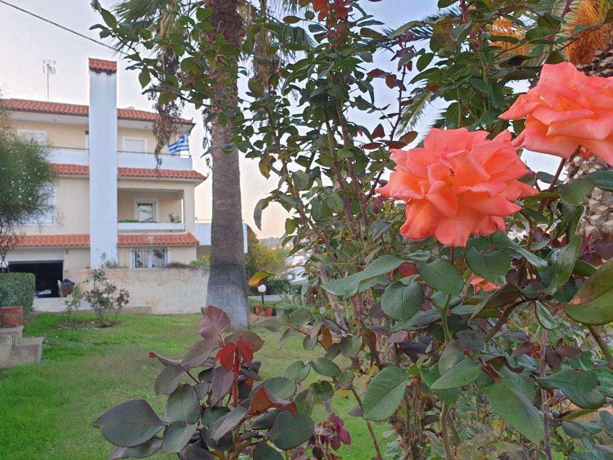 Appartement Vaso's Near The And Airport